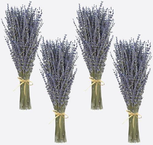 Dried Lavender 4 Bunches 100% Fresh Natural Purple Bouquet Flowers for Bathroom Photo Props Crafts (200g/7oz), 15-17" for Shower Weeding Vase Decor, Aromatherapy Home Fragrance(400-440 Stems Total)