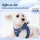 rabbitgoo Dog Harness Small Sized and Leash Set, Step in Soft Light Puppy Vest, Breathable Mesh Pet Harness, Reflective for Outdoor Safe Walking, Navy Blue XL
