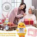 Sister Mothers Day Suncatcher Gift Ideas, Mothers Day Suncatcher Gifts for Sisters from Sisters Sun Catcher Crystals Duck Love, Sun Catcher Duck Love Sister Gifts