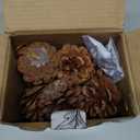 JOHOUSE 18PCS Hanging Natural Pine Cones (1.5"2.5"), Rustic Pinecones with Strings for Fall Garland, Christmas Tree Ornaments, Wreath Making, Vase/Bowl Filler Winter Decor (Multi Color)