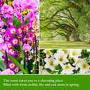 KISSHAKE Retirement Decorations - Funny Gifts for Coworker, Boss, Teacher, Nurse, Bestie, Dad, Mom - Scented Candles