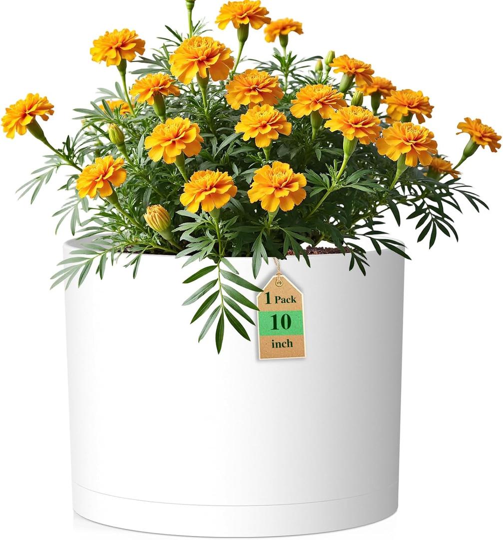 10 Inch Round Plastic Plant Pot with Drainage Holes and Saucer, Wide Flower Pots for Indoor & Outdoor Plants 7.9" Tall Modern Cylinder Planter Pot for House Plants and Home Decorative, Matte White