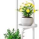 Plant Stand Indoor Outdoor 4 Tier Metal Plant Shelf for Multiple Plants Corner Flower Holders for Living Room Balcony Bedroom Patio Garden, Black (White, 4-Tier)