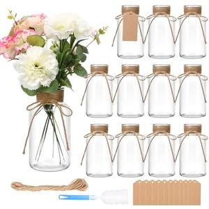 5 Pack Glass Flower Vases with Rope,Brajttt Vintage Bud Vases in Bulk,Mason Jars for Centerpieces,Flower Vase for Centerpieces and Tag for Weddings,Home Decor & DIY Projects (some were broken, glass hazard in box)