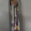 Travel Makeup Brush Set BS-MALL 14 Pcs with 1 Pcs Makeup Sponge  Essential Foundation Powder Concealers, Eye Shadows, Blush Makeup Brushes with Travel Makeup Case (Champagne)