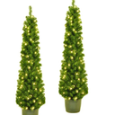 5' Pre-Lit Clear Incandescent Potted Trees, Set Of 2