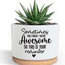 You're Awesome Funny Succulent Plant Pot, Cute 3.5 Inch Small Ceramic Cactus Planter Pot with Drainage, Home Office Desk Decor for Friends Coworker Birthday Christmas Housewarming Gifts (No Plants)