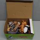 Safari Animals Figures Toys, Realistic Wild Zoo Animal Figurines, Plastic African Jungle Animals Playset for Kids Toddlers, 21Pcs Safari Toys Birthday Gifts for Boys Girls