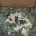 Pinkpum 16'' Eucalyptus Wreath for Front Door, Porch, Window - Green Decor for Home, Farmhouse - Spring, Summer, Fall, All Seasons