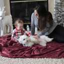 Bedsure GentleSoft Fleece Throw Blanket Burgundy Red - 300GSM Blankets for Couch, Sofa, Bed, Soft Lightweight Plush Cozy Throws for Toddlers, 50x60 inches