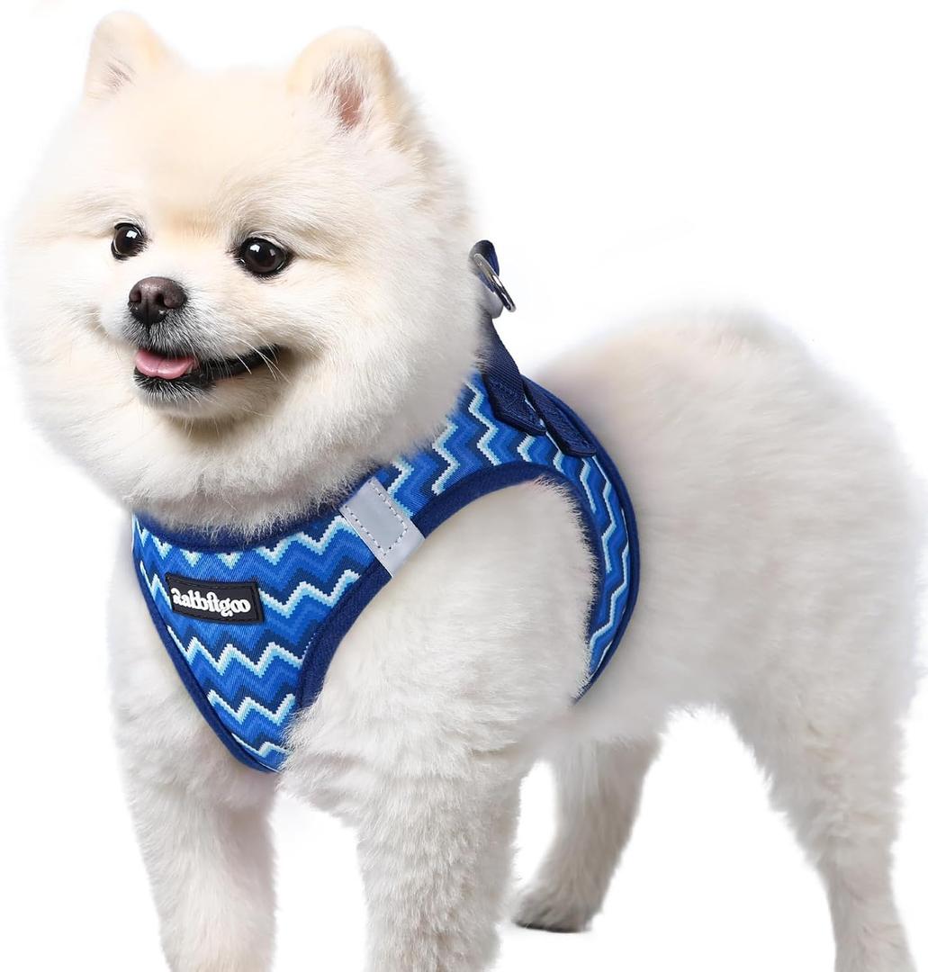rabbitgoo Step-in Dog Harness, Puppy Vest for Small Sized Pet Easy Put on and off, Lightweight, Soft, Breathable Quick-Dry Air Mesh for Comfortable Secure Walking, Blue Zigzag, M