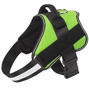Bolux Dog Harness, No-Pull Reflective Dog Vest, Breathable Adjustable Pet Harness with Handle for Outdoor Walking - No More Pulling, Tugging or Choking Small (Pack of 1) Green