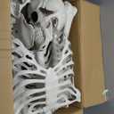 5.4Ft Posable Skeleton Halloween Decorations Outdoor, Plastic Life Size Skeleton with Movable Joints for Graveyard Prop, Halloween Toys Indoor Outdoor Haunted House Party Decor, White 