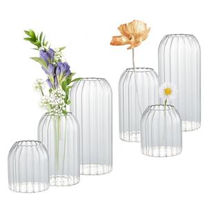Bud Vases in Bulk Set of 5, Glass Small Vases for Flowers, Modern Cylinder Ribbed Vases for Wedding Centerpiece, Living Room Decorative, Home Decor