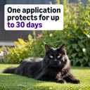 Amazon Basics Topical Flea Treatment for Large Cats (Over 9 pounds), 6 Count, Packaging May Vary