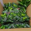 ODTORY Artificial Boxwood Panels: 40" x 40" (11.5 sqft) UV-Anti Fake Grass Ivy Privacy Hedge Greenery Backdrop Fence Wall Screen for Garden Fence Covering Privacy, Outdoor Indoor Home Decor