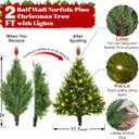 2FT Wall Hanging Christmas Tree with Led Lights, Pre lit Norfolk Pine Artificial Flat Wall Christmas Tree for Apartment, Cat Owners Xmas Decor