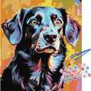 TOCARE Black Labrador Paint by Numbers Kit for Adults, Dog Paint by Number Adult Canvas,Adults' Paint-by-Number Kits for Dog Lovers 16x20inch (Without Framed)