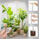 LBW Plant Grow Light,72 LEDs Full Spectrum Grow Lights for Indoor Plants,Bamboo Plant Lights with 4/8/12H Timer,Height Adjustable,Ideal for Large Tall Plants,Bamboo,2 Pack
