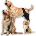 Dog Knee Brace for Torn acl Hind Leg, Arthritis, Hip Dysplasia, Dog Knee Brace for Luxating Patella, Dog Leg Braces for Back Leg, Dog acl Brace Hind Leg, Dog Knee Braces for Back Leg (S)