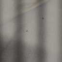 Couch Cover for Dogs Sectional Sofa Covers Washable for 2 Cushion Couch, Chenille Couch Cover Blanket, Sectional Sofa Slipcovers, Multi-Use Furniture Protector for Kids, Pets, 91" X118", White