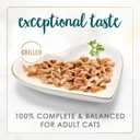 Purina Fancy Feast Grilled Wet Cat Food Turkey Feast in Wet Cat Food Gravy - (Pack of 24) 3 oz. Cans (EXP 04/01/28)
