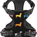 Waldeal Cute Dachshund Dog Harness No Pull, Adjustable Dog Walking Chest Harness with 2 Leash Clips, Comfort Soft Dog Vest, Reflective Front Body Harness, Size S Black