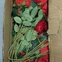 Hananona 50 Artificial Roses in Bulk, Fake Velvet Silk Burgundy Roses Realistic Red Roses for Wedding Centerpieces Flower Arrangement Home Decor (50, Burgundy)
