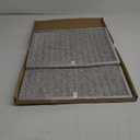 3005699 AIR FILTER (3005699)