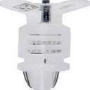 SYLVANIA - 4114 LED Amber Mini Bulb - Bright LED Bulb, Ideal for Park and Turn Lights (Contains 2 Bulbs)