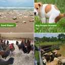 Large Chicken Poop Scooper, Chicken Coop Accessories,Metal Litter Scooper For Chicken,Chicken Coop Cleaning Tools,Heavy Duty Poop Shovel For Chicken Coop Accessories,Chicken Coop Must Haves (Black)