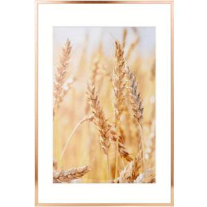 wyooxoo 16x24 Frame Poster Frames Display Pictures 13x19 With Mat or 16x24 Picture without Mat, Metal Frames Wall Gallery Photo Frames With PlexiGlass (Brushed Copper)