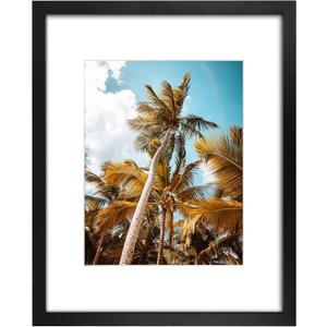 Frametory 16x20 Black Picture Frame with Real Glass Mat for 11x14
