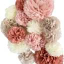 Vidal Crafts 20 Pcs Party Tissue Paper Pom Poms Set - Blush Pink Tissue Paper Flowers Decorations for Birthday Party, Bachelorette, Bridal Shower Decorations, Wedding, Baby Shower Decor, 6" to 14"