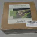 Citronella Scented Tea Lights Candles – Yellow – 6 Hour Burn – 100% Palm Wax – Scented Tealight Candles for Outdoor Summer Nights, Patio Dining – 48 Pack Scent Votive Candle