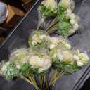 Olgaa 12 Bundles Peonies Artificial Flowers Fake Hydrangea Silk Peony Bouquet Bulk for Vase Floral Arrangements Wedding Arch Decor Centerpiece Table Decorations (White)