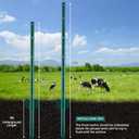 URBANVISTA 10 Pack Metal Fence Posts, 4 FT Heavy Duty U-Post, Green Garden Stakes, No-Dig Post Anchors for Wire Fences, Temporary Fencing, Electric Fence, and Corner Support
