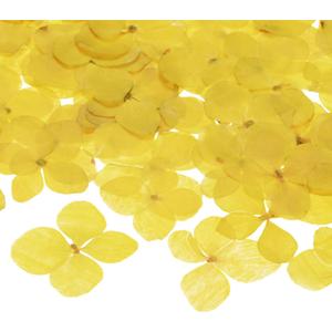 60-Pack Dried Pressed Flowers for Resin, Real Natural Bulk Dry Floral for Crafts/DIY Jewelry/Soap Making/Scrapbooking/Candle/Epoxy Resin Supplies [Yellow]