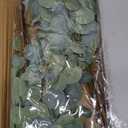 6 Pcs 27" Eucalyptus Stems Greenery Stems Eucalyptus Leaf Spray in Green Silk Plastic Plants Floral Artificial Plants for Home Party Wedding Decoration