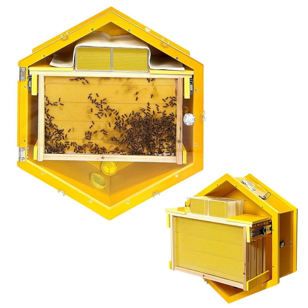 Bee Hive Box with Observation Windows,Complete Beehive Starter Kit,Hanging Beehive for Indoor Bee Breeding,Transparent Door Panel for Easy Observation,with 3 Beehive Frames and 6 Comb Honey Box