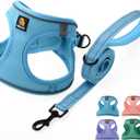 BELLA & PAL Step in Vest Harness for Small and Medium Dogs, No Pull Small Dog Harness with Leash Set, Comfortable Air Mesh Dog Vest Harness with Reflective Strip (Sky Blue, M)