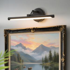 Hardwired Picture Lights For Wall, Led Art Light For Painting,Modern Metal Picture Frame Light ,Dimmable Poster Gallery Painting Bookshelf Portrait Lights For Pictures On Wall 6W 3CCT (Black, 16in)