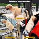 JOHNBOLIN Dog Lift Harness, Dog Sling with Padded, Hind Leg Support to Help Rehabilitate, Helps Senior, Injured, Disabled and After ACL Surgery Dogs (Grey, Small)