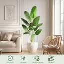 Birds of Paradise Plant Artificial, 5FT Fake Plants Faux Banana Leaf Tree with 10 Banana Leaves, Lifelike Tall Fake Tropical Palm Indoor Silk Floor Plant in Black Pot for House,Office,Room,Home Decor