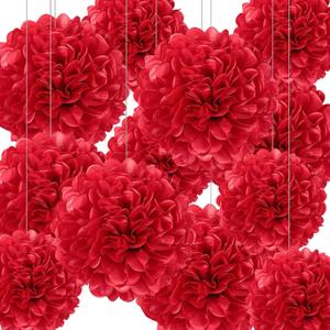 12Pcs Red Hanging Tissue Paper Pom Poms, Pompoms Flowers for Ceiling Party Decorations