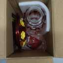 Kingsyard Hummingbird Feeder for Outdoors Hanging, 25 Ounces, Glass Humming Bird Nectar Feeder with Ant Moat & 6 Feeding Ports, Leak Proof, Red