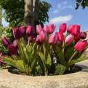 Artificial Fake Flowers for Spring Summer Outdoor Decoration,6 Bundles Realistic UV Resistant Silk Fabric Colorful Tulip Faux Plants for Outside Planter Home Porch Patio Decor(Pink Purple)