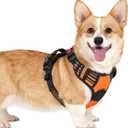 rabbitgoo Dog Harness Small Sized, No Pull Pet Harness with 3 Buckles, Adjustable Soft Padded Vest with Control Handle, Walking Reflective Pet Vest for Small Dogs, Orange, S