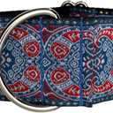 Martingale dog collar for Greyhound Saluki Whippet and other breeds with similar neck 2" wide (L 14"-18")