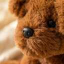 WEIGEDU Chocolate Labs Labrador Stuffed Animals, Stuffed Puppies, Retrievers Dog Plush Toys for Kids Boys Girls Birthday Bedtime Gifts, 7.9 inches, Brown Chocolate